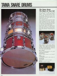 Tama 1982 Flyer